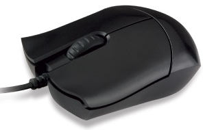 salmosa_fare1228131742.jpg