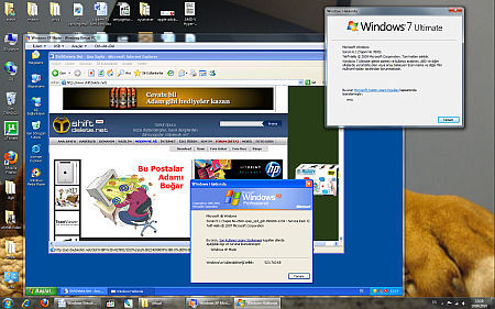 virtuall51271675641.jpg