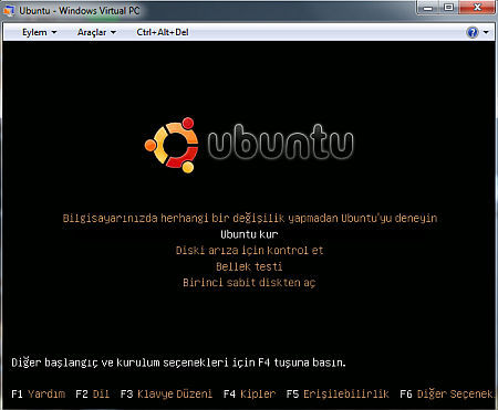 virtuall61271675990.jpg