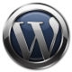 WordPress 2.9'da Neler Görmek İstersiniz?