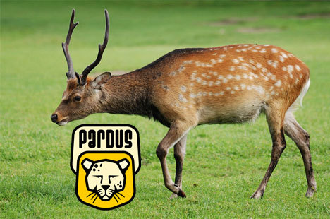 pardus1310577306.jpg