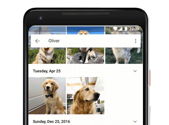 Google fotoğraflar