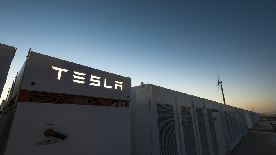tesla pil elon musk