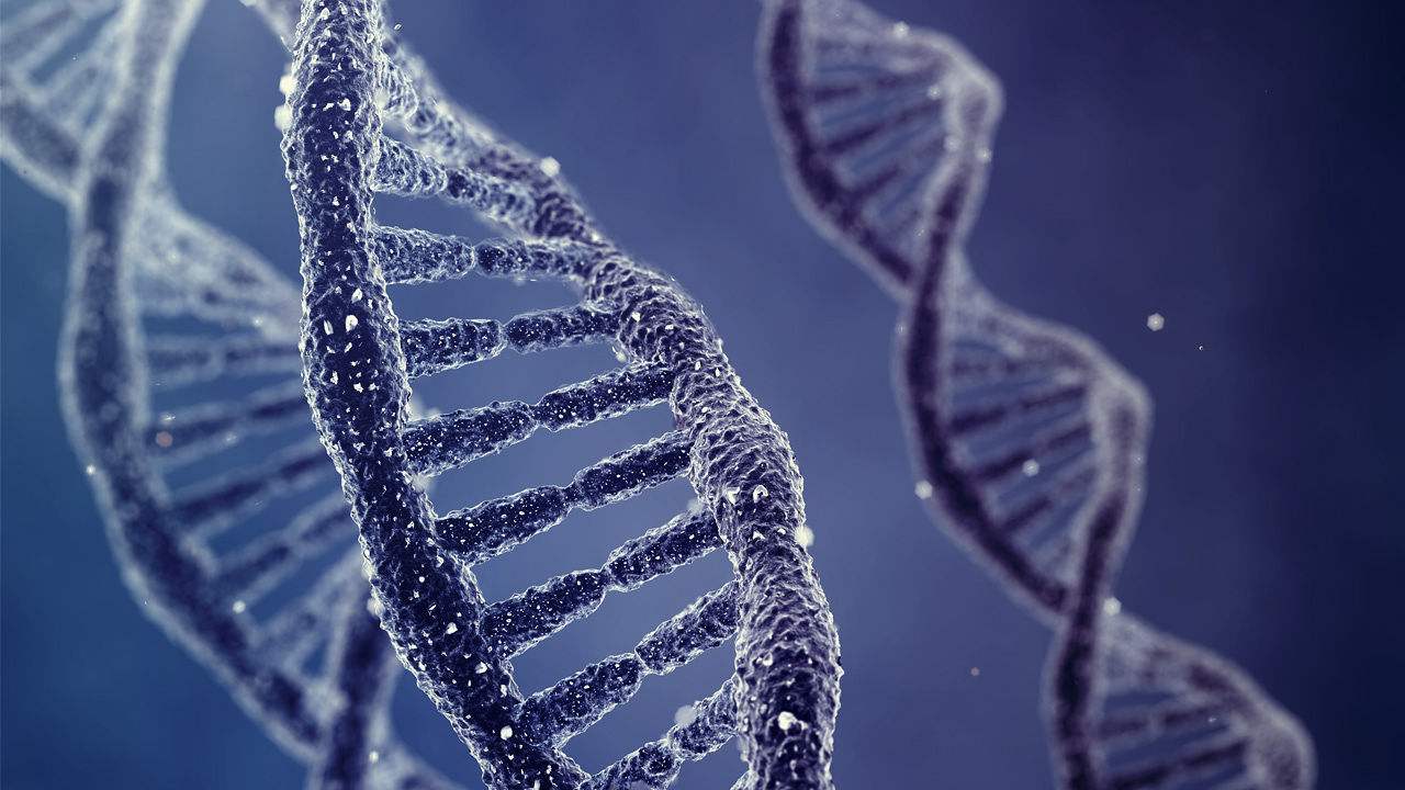 3-farkli-dna-1.jpg