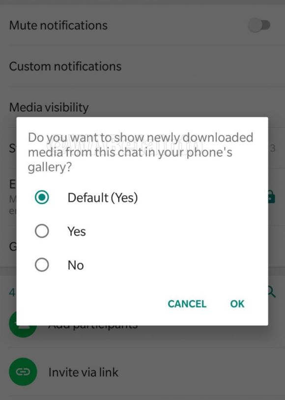 WhatsApp medya görünürlüğü