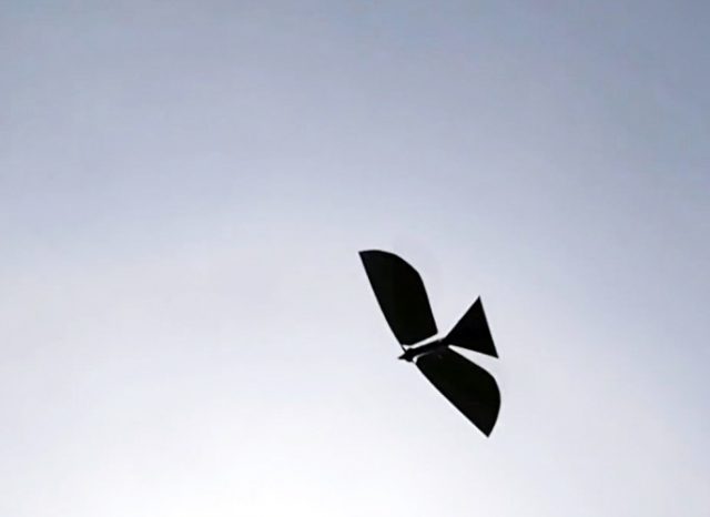 drone robo-raven