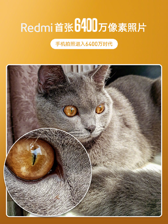 Redmi 64 MP kameralı telefon ile çekilen fotoğrafla gündemde! - ShiftDelete.Net