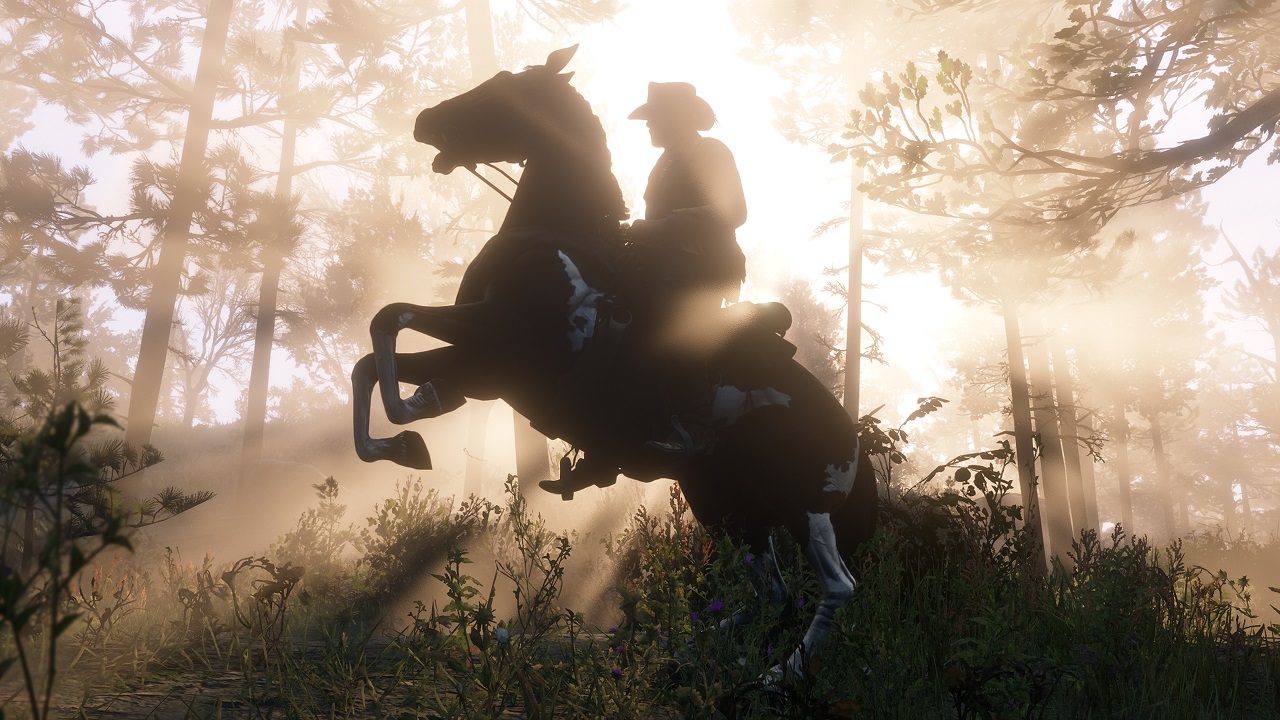Red Dead Redemption 2 DLC