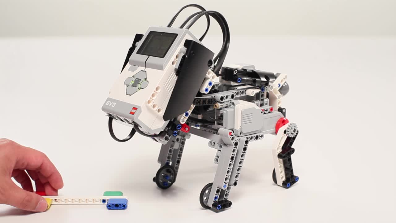 robot köpekler