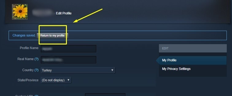 steam kayıt nasıl yapılıyor