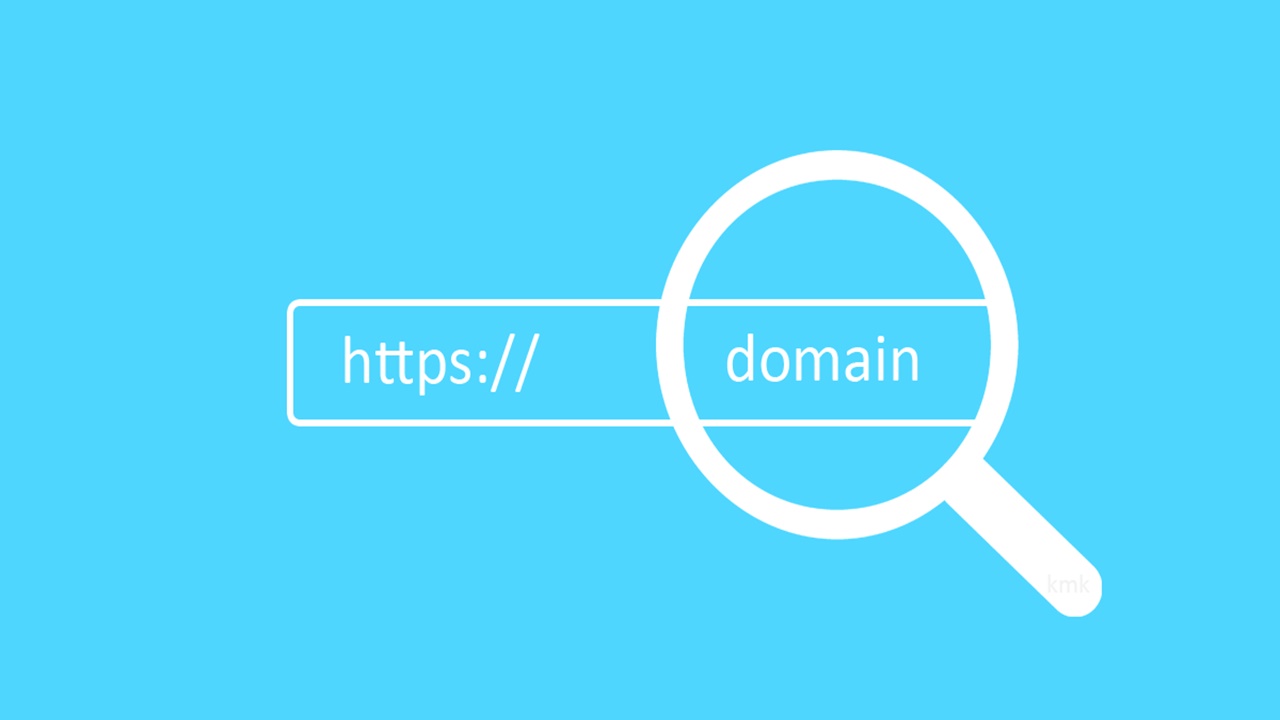 domain ne demek