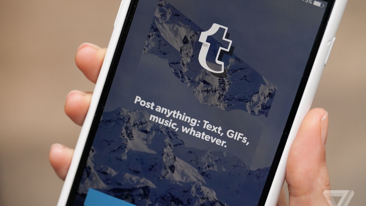 tumblr silme
