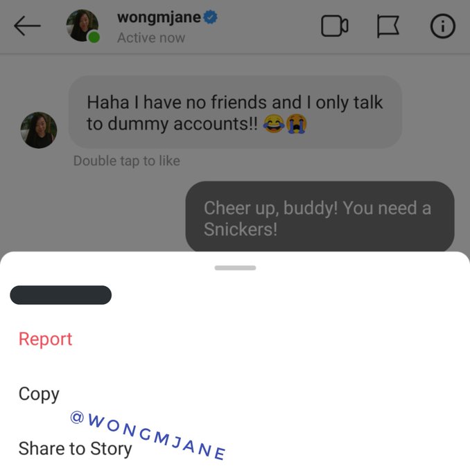 Instagram özel mesaj içeriği ekran görüntüsü almadan paylaşılabilecek