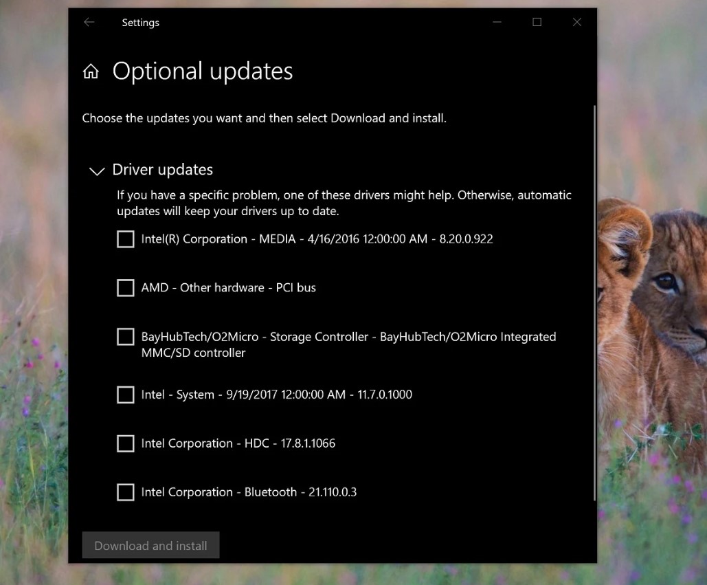 Windows 10 sürüm 2004 sürücü güncelleme