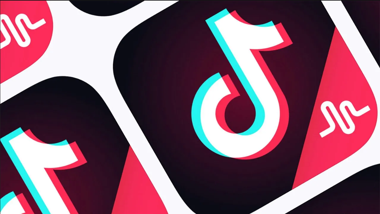 tiktok, türk yatırımcı, dalınç Arıburnu