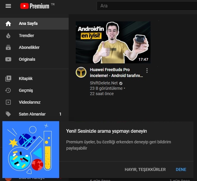 youtube premium sesli arama özelliği