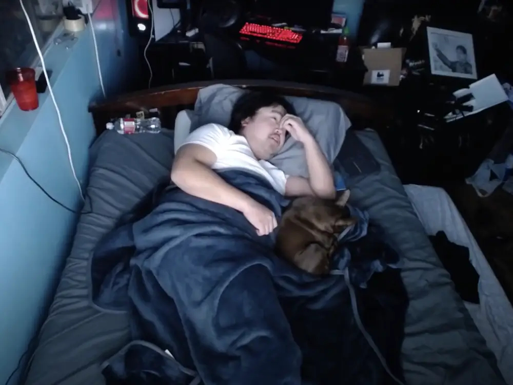 twitch yayında uyuyan yayıncılar