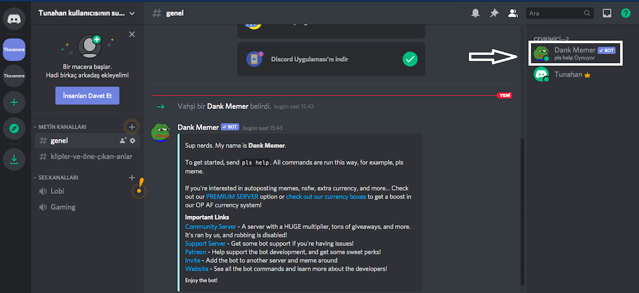 discord-bot-ekleme-nasil-yapilir-discord-muzik-mesaj-silme-botu-ekleme-5.png