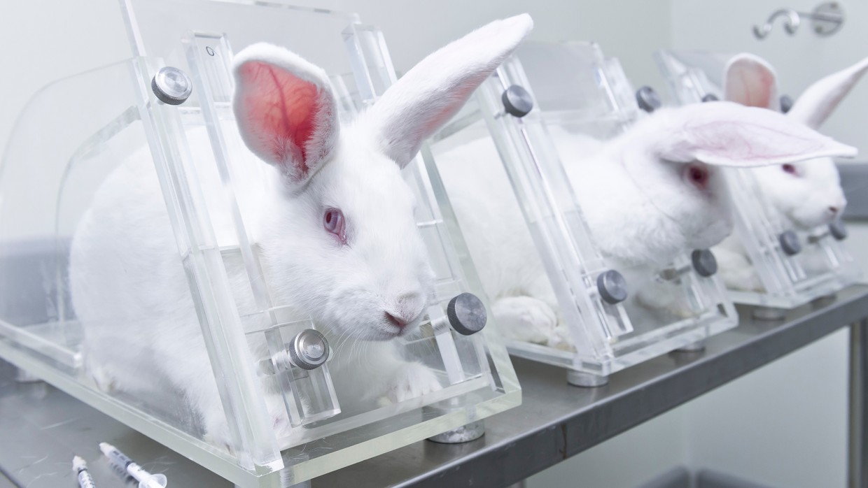 Çin, hayvan deneyleri için tarihi bir karar verdi